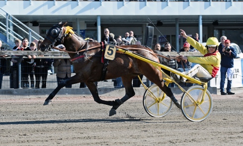 Bahia Quesnot och Junior Guelpa fick den sista platsen i Elitloppet. Foto av TR Bild